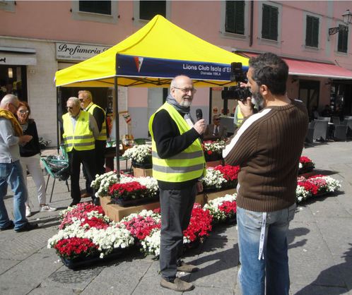L’AZALEA DELLA RICERCA
curata a Portoferraio dal Lions Club I. d’Elba